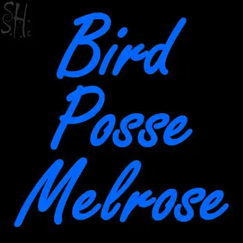 Custom Bird Posse Melrose Neon Sign 4