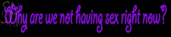 Custom Why Are We Not Having Sex Right Now Purple Neon Sign 3