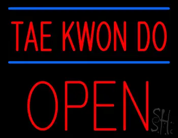 Tae Kwon Do Block Open LED Neon Sign