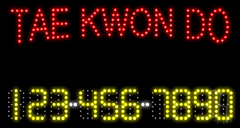 Tae Kwon Do Animated LED Sign
