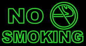Green No Smoking LED Neon Sign