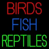 Birds Fish Reptiles 1 LED Neon Sign