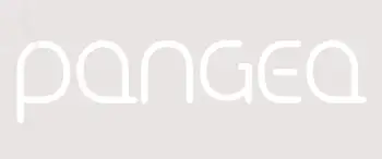 Custom Pangea Neon Sign 1