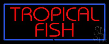 Tropical Fish Blue Border Neon Sign