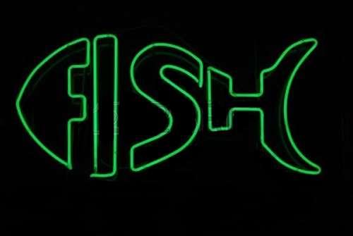 Green Double Stroke Fish LED Neon Sign