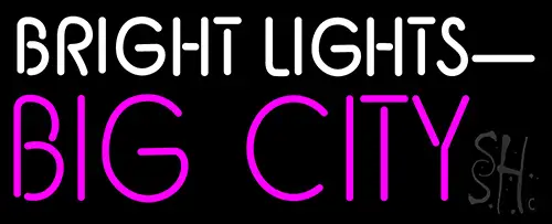 Bright Lights Big City LED Neon Sign