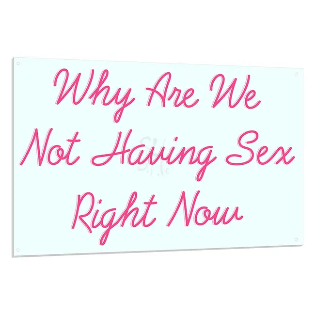 Why Are We Not Having Sex Right Now LED Light