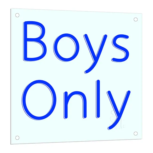 Boys Only LED Neon Sign