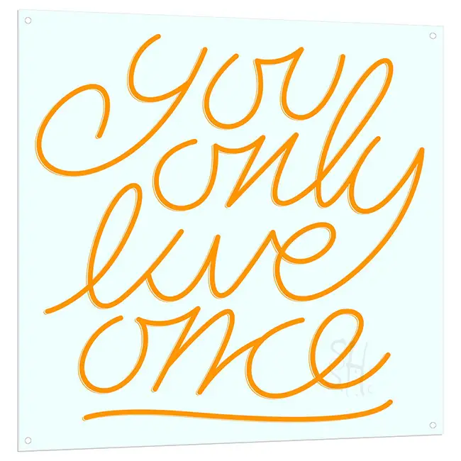 You Only Live Once LED Sign