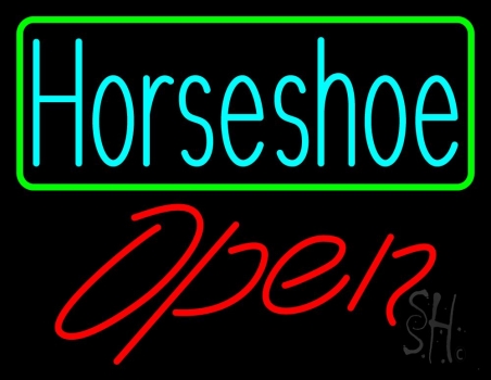 Turquoise Horseshoe Open With Border LED Neon Sign