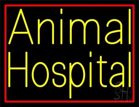 Yellow Animal Hospital Red Border LED Neon Sign