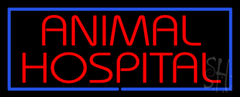 Red Animal Hospital Blue Border LED Neon Sign