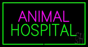 Animal Hospital Green Rectangle LED Neon Sign